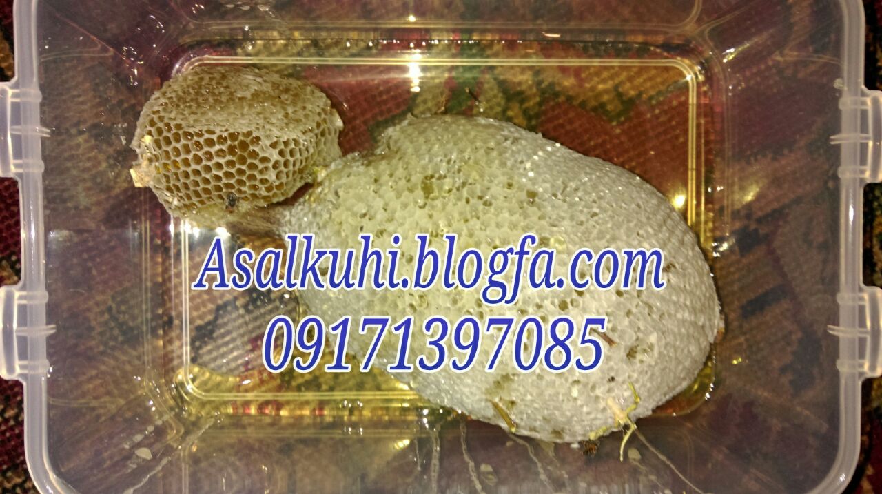 عسل کوهی طبیعی در شیراز